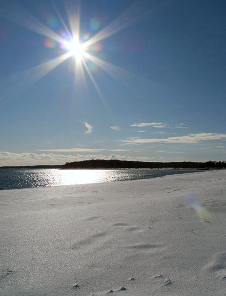 snowy beach